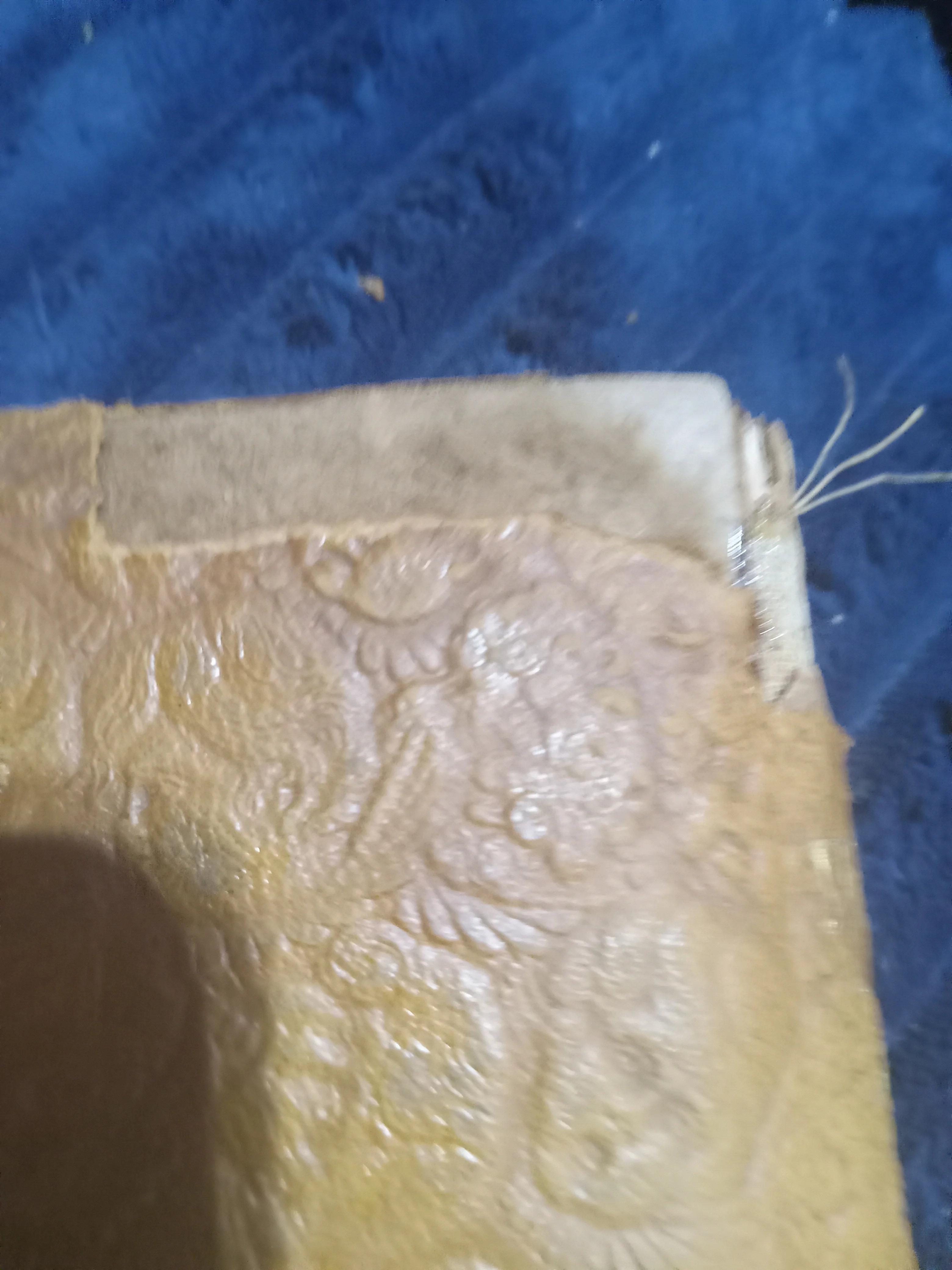 20260324_171726.webp
