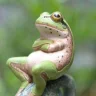 Ribbit90