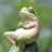 Ribbit90